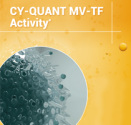 Microvesicle CYQUANT MVT